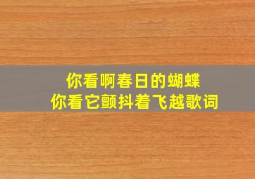 你看啊春日的蝴蝶 你看它颤抖着飞越歌词